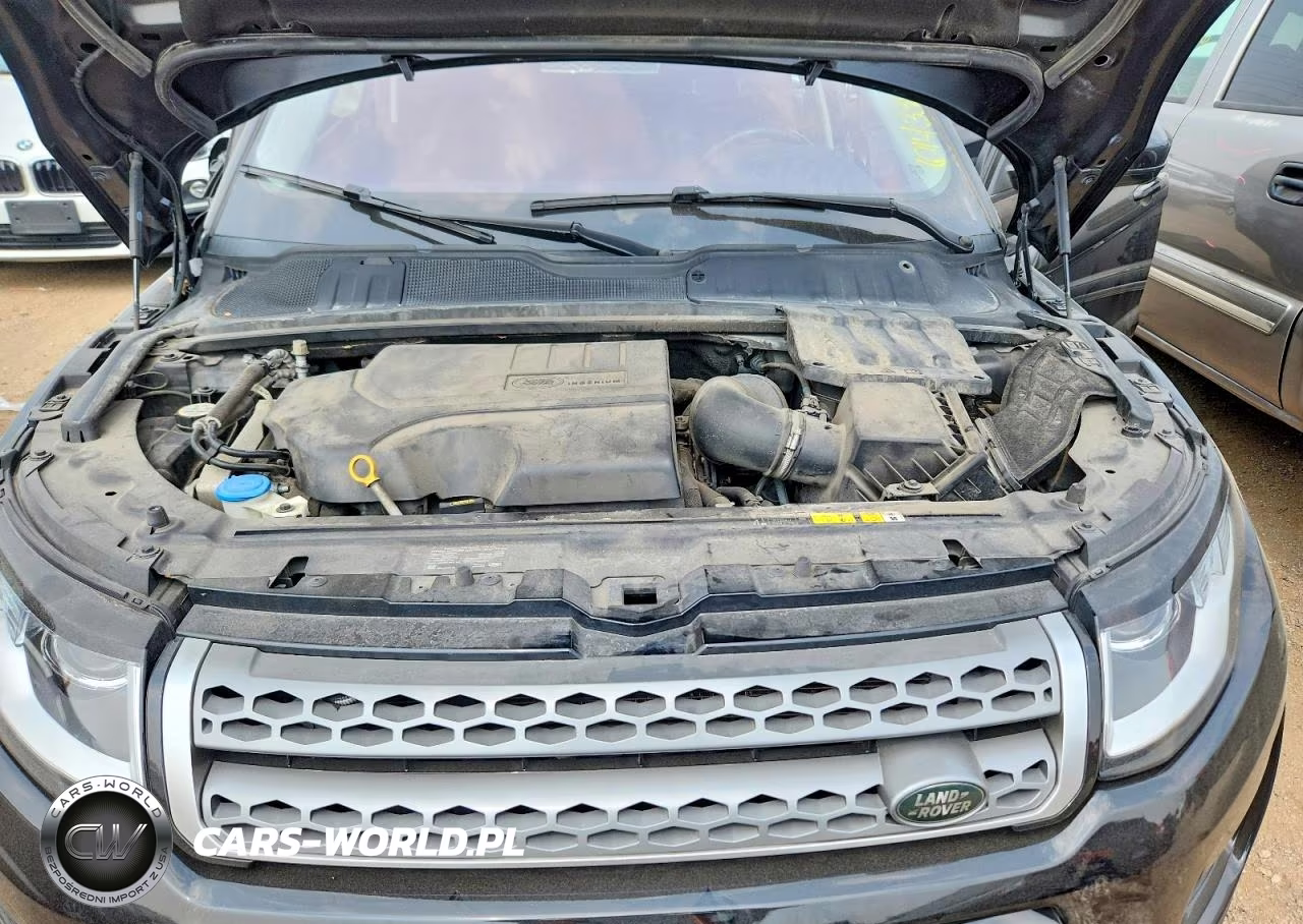 2019 Land Rover Range Rover Evoque Se-Se Premium VIN:SALVP2RX2KH348781 - 12