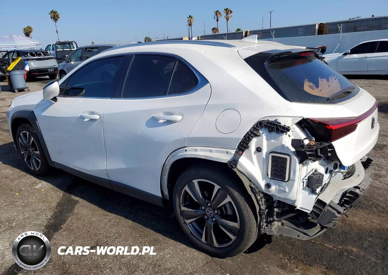 2019 Lexus Ux 200 VIN:JTHY3JBH3K2019411 - 2
