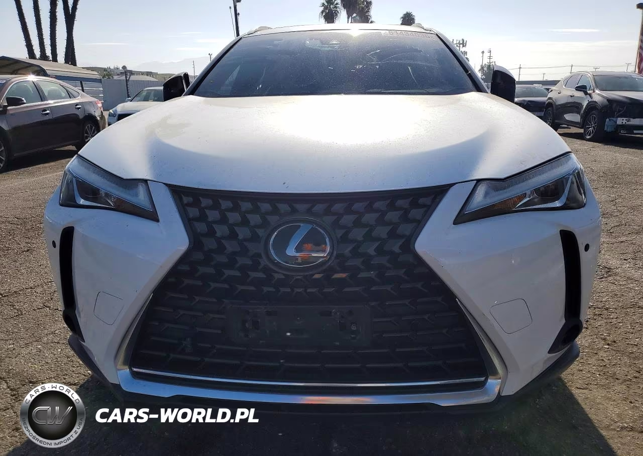 2019 Lexus Ux 200 VIN:JTHY3JBH3K2019411 - 5