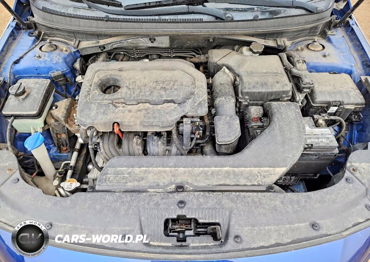 2015 Hyundai Sonata Se VIN:5NPE24AF3FH234963 - 11