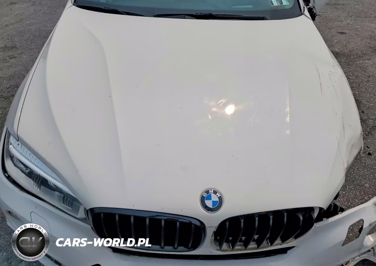 2016 BMW X6 xDrive35I VIN:5UXKU2C56G0N83988 - 12