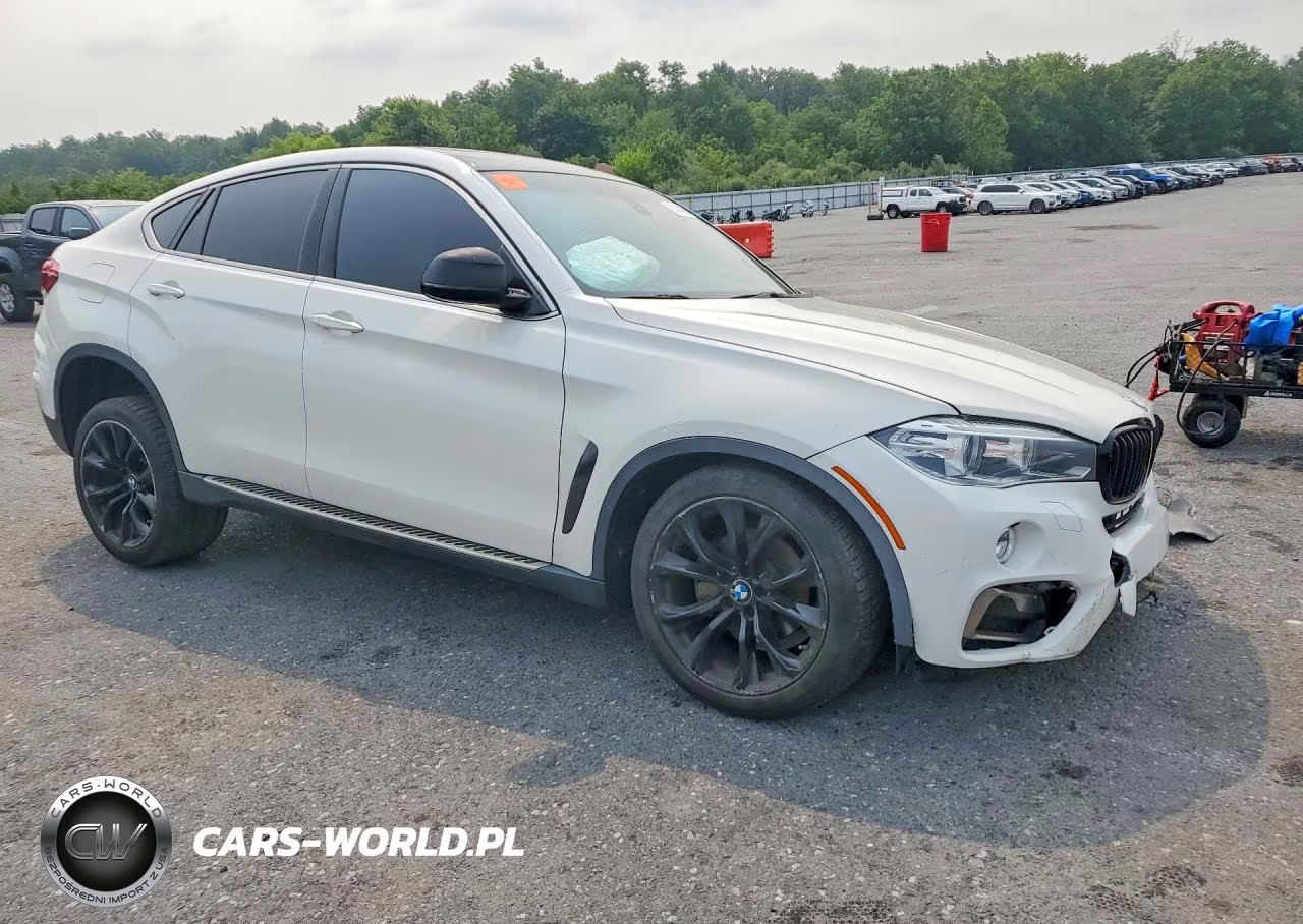 2016 BMW X6 xDrive35I VIN:5UXKU2C56G0N83988 - 4