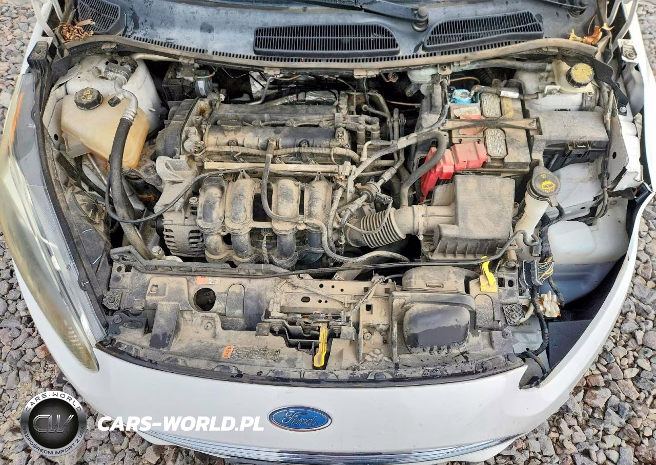 2016 Ford Fiesta Se VIN:3FADP4EJ6GM165943 - 11