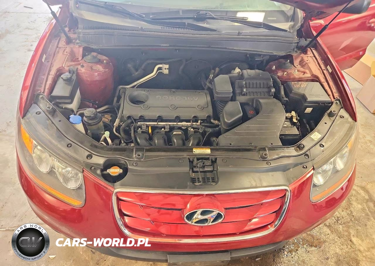 2010 Hyundai Santa Fe Gls VIN:5NMSGDAB7AH333700 - 12