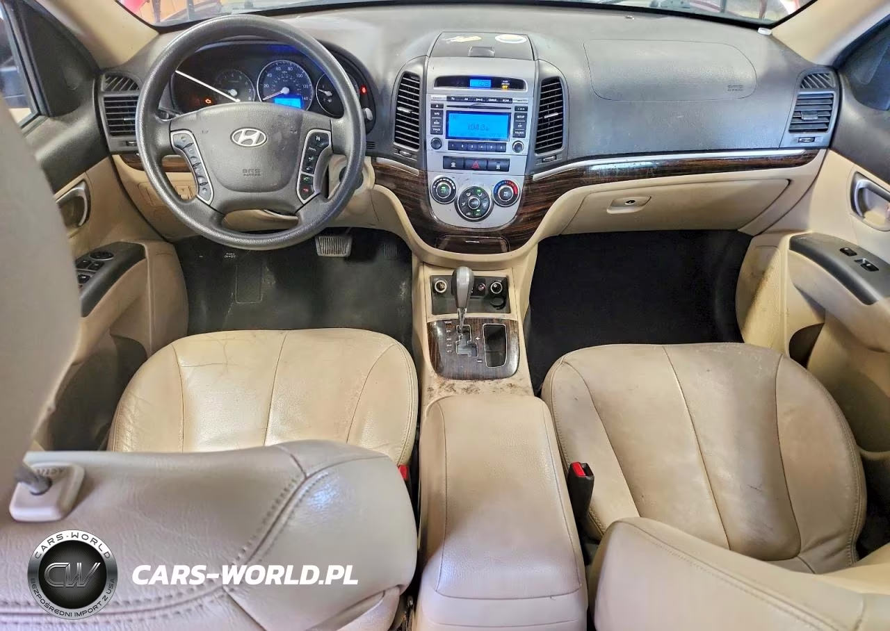 2010 Hyundai Santa Fe Gls VIN:5NMSGDAB7AH333700 - 8