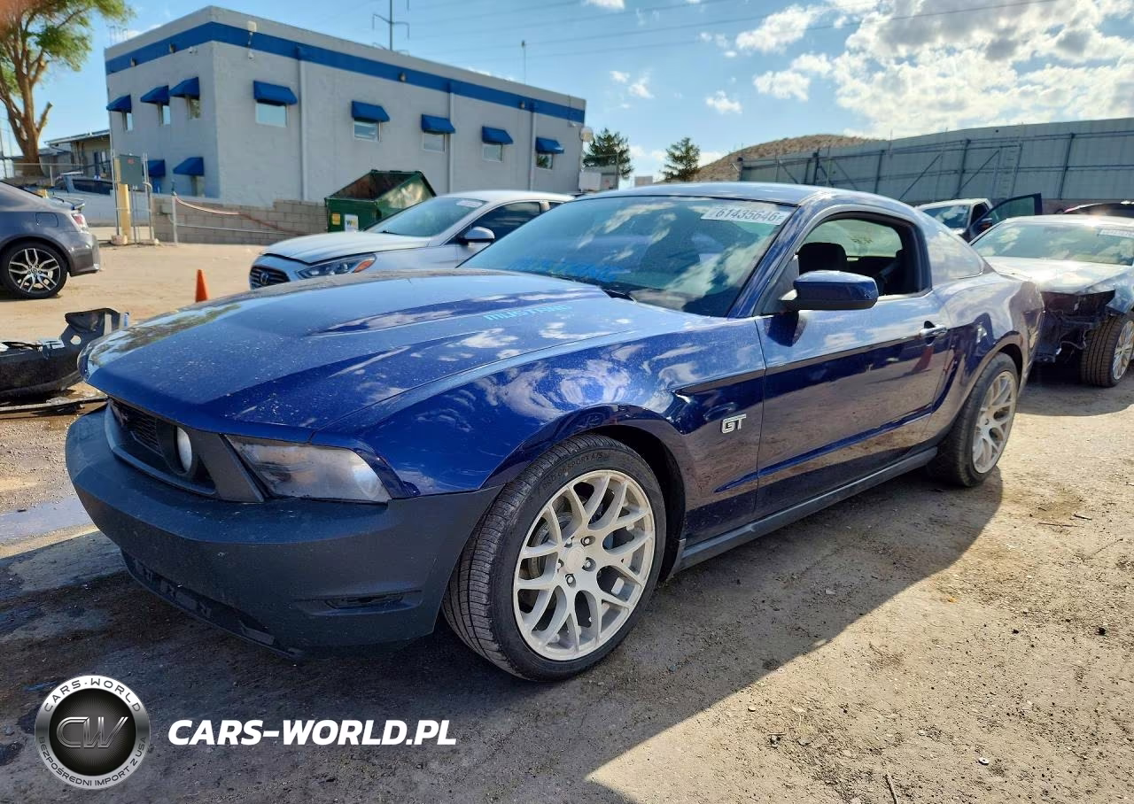 2010 Ford Mustang Gt VIN:1ZVBP8CH7A5117516 - 1