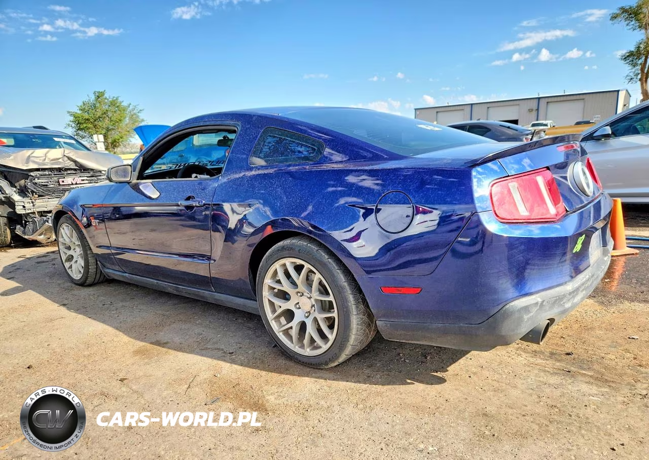 2010 Ford Mustang Gt VIN:1ZVBP8CH7A5117516 - 2