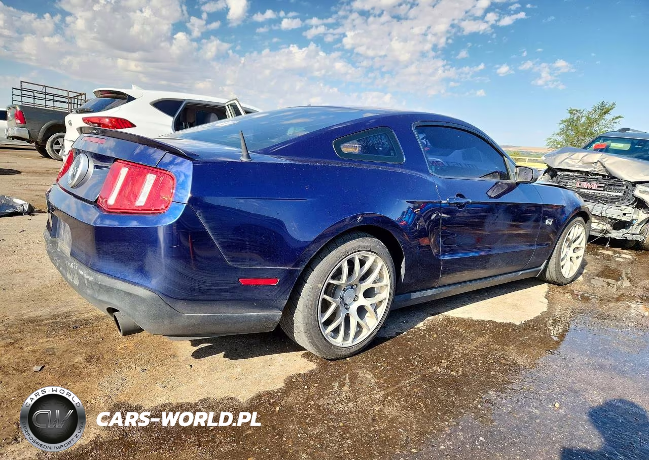 2010 Ford Mustang Gt VIN:1ZVBP8CH7A5117516 - 3