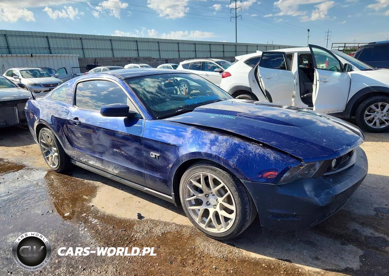 2010 Ford Mustang Gt VIN:1ZVBP8CH7A5117516 - 4