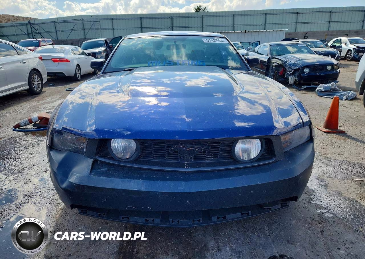2010 Ford Mustang Gt VIN:1ZVBP8CH7A5117516 - 5