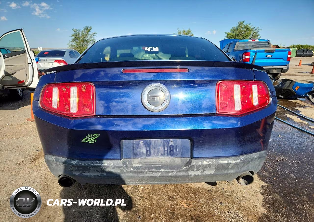 2010 Ford Mustang Gt VIN:1ZVBP8CH7A5117516 - 6