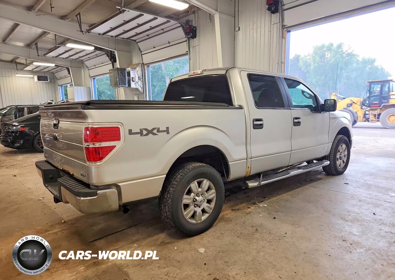 2010 Ford F150 Supercrew VIN:1FTFW1EV2AFD56192 - 3