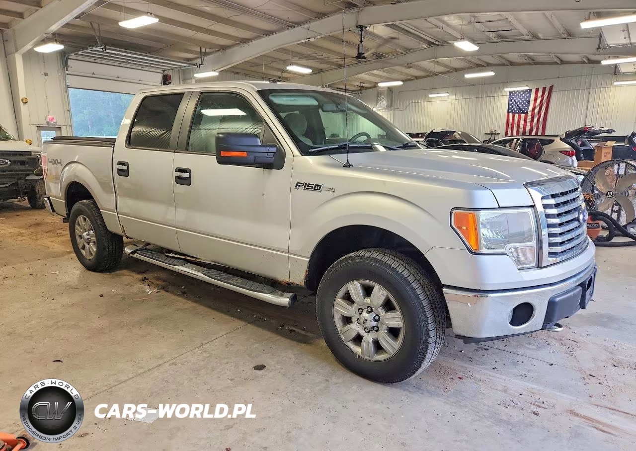 2010 Ford F150 Supercrew VIN:1FTFW1EV2AFD56192 - 4
