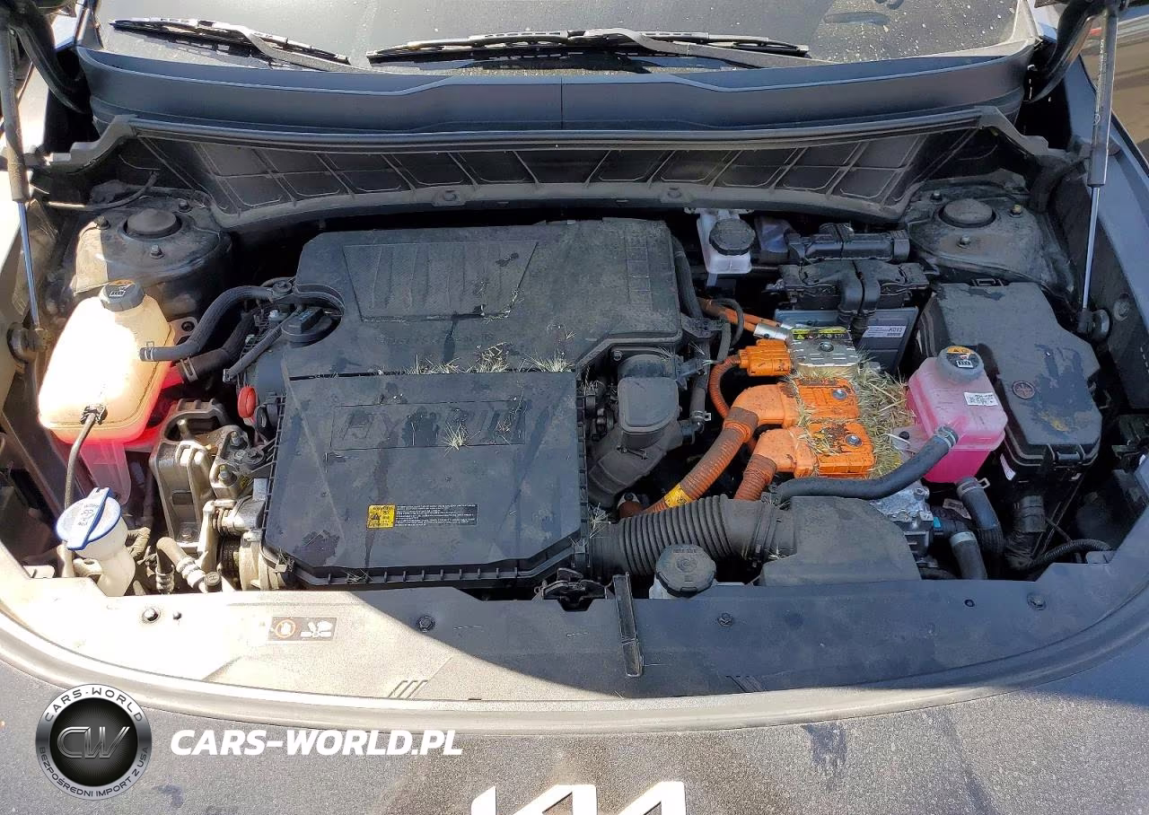 2025 Kia Niro Ex VIN:KNDCR3LE1S5218594 - 12