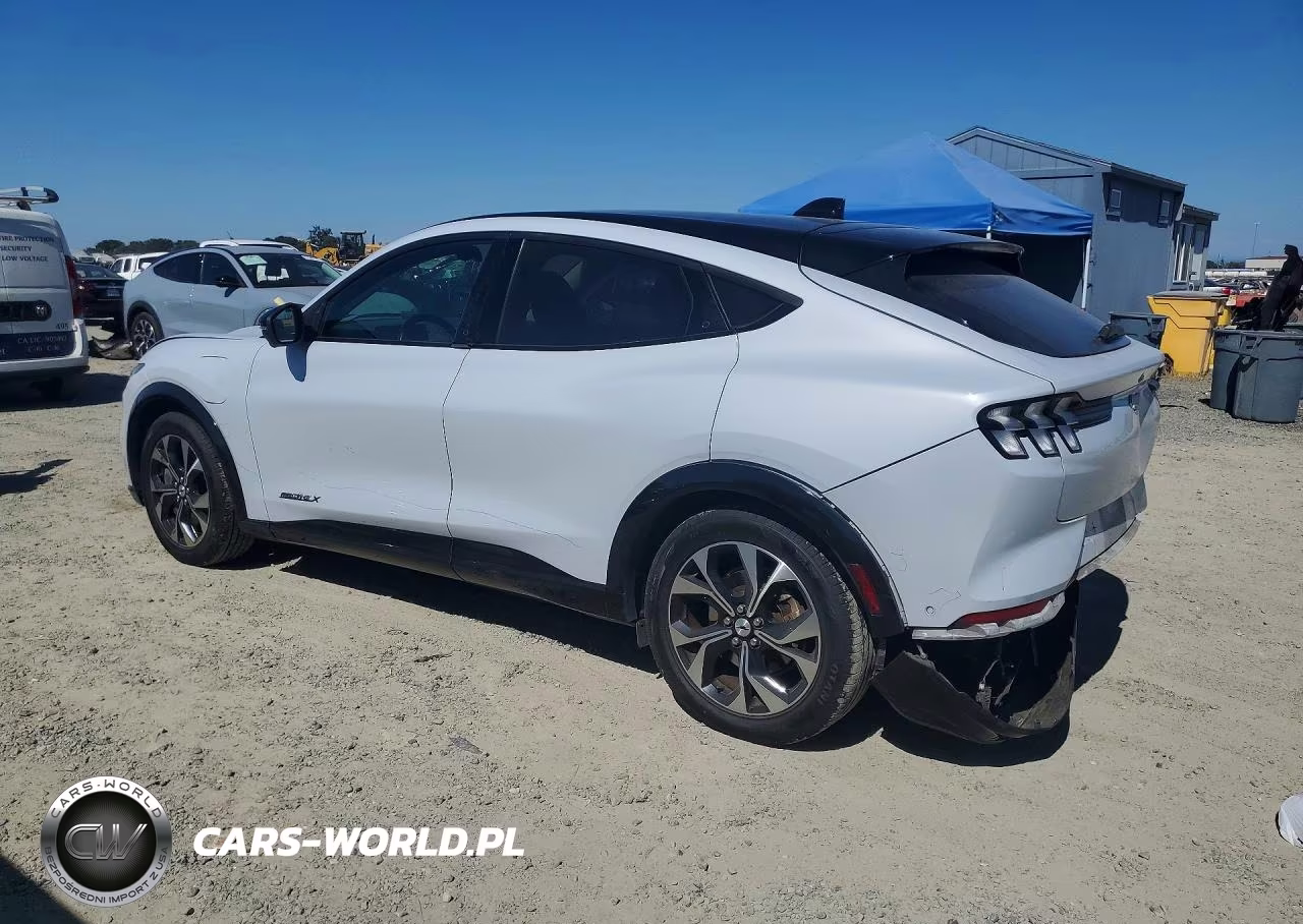 2021 Ford Mustang Mach-E Premium VIN:3FMTK3R70MMA61887 - 2