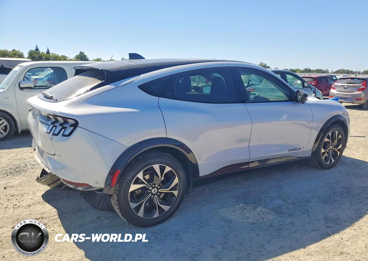 2021 Ford Mustang Mach-E Premium VIN:3FMTK3R70MMA61887 - 3