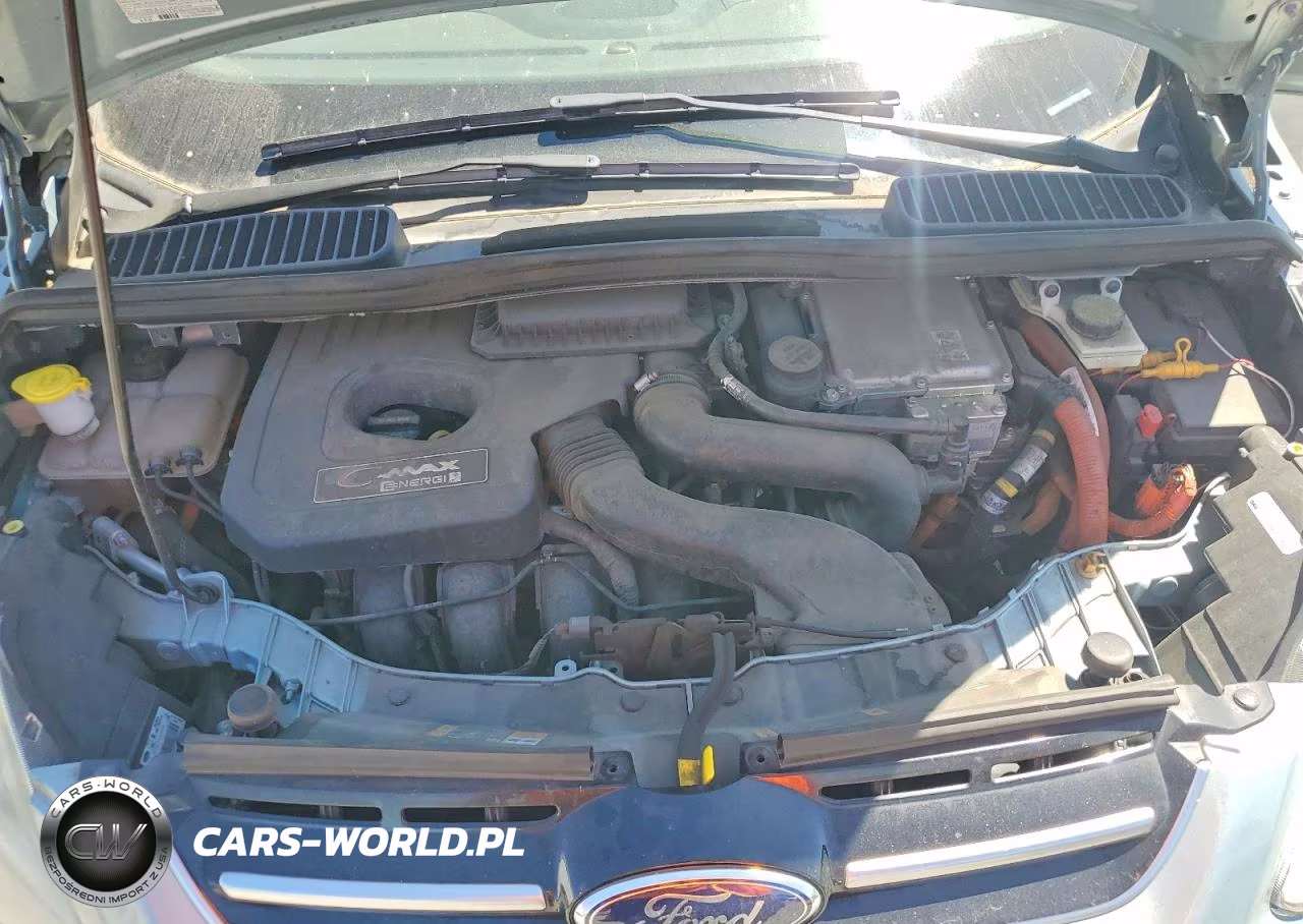 2013 Ford C-Max Premium VIN:1FADP5CU3DL554099 - 11