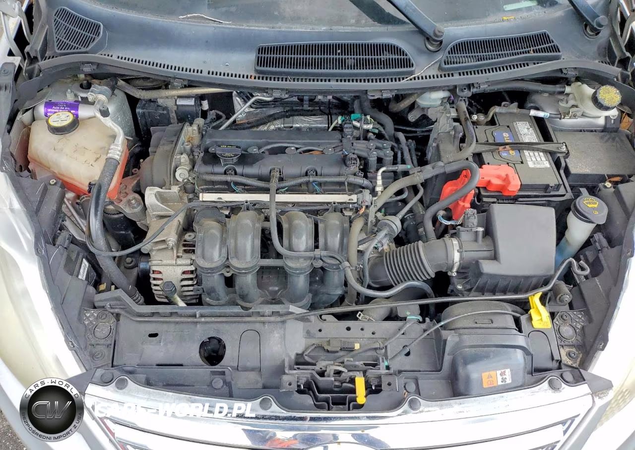 2013 Ford Fiesta Se VIN:3FADP4BJ0DM118035 - 11
