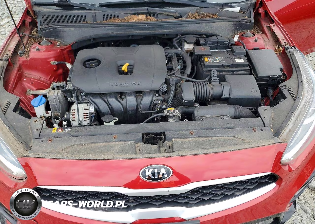 2019 Kia Forte Lxs VIN:3KPF24AD7KE007549 - 11