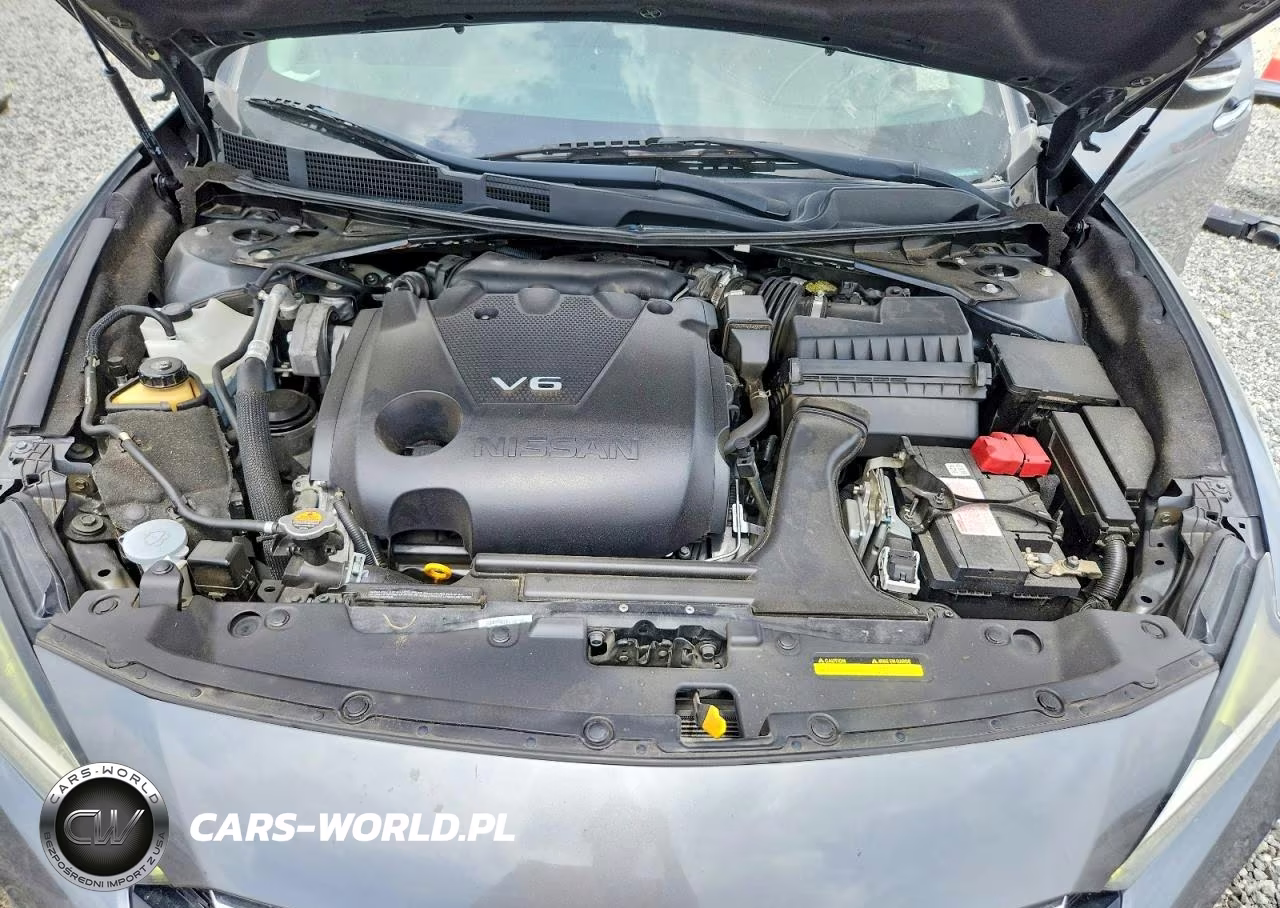 NISSAN MAXIMA S VIN:1N4AA6AV1KC366720 - 11