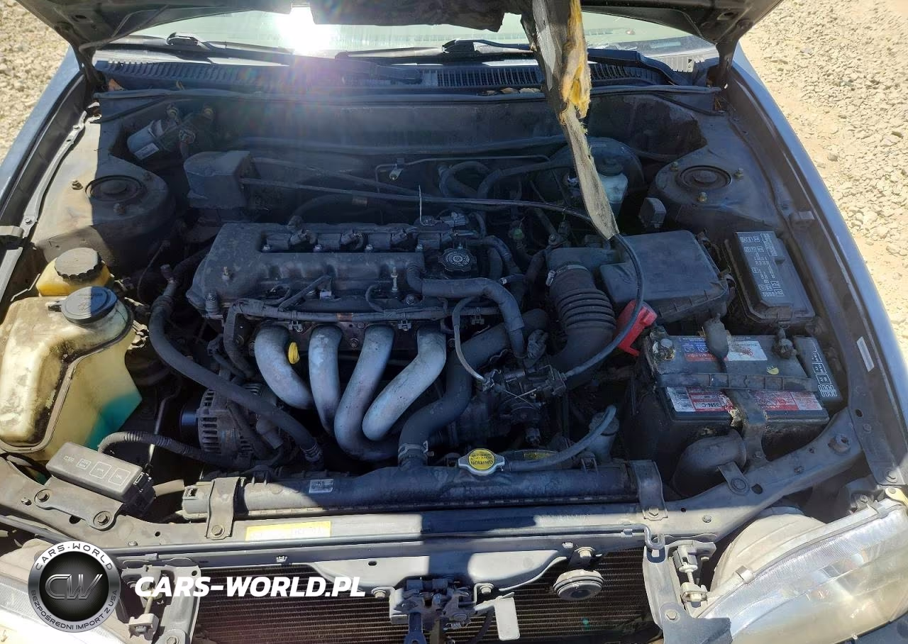 2000 Toyota Corolla Ve VIN:1NXBR12E4YZ393319 - 11