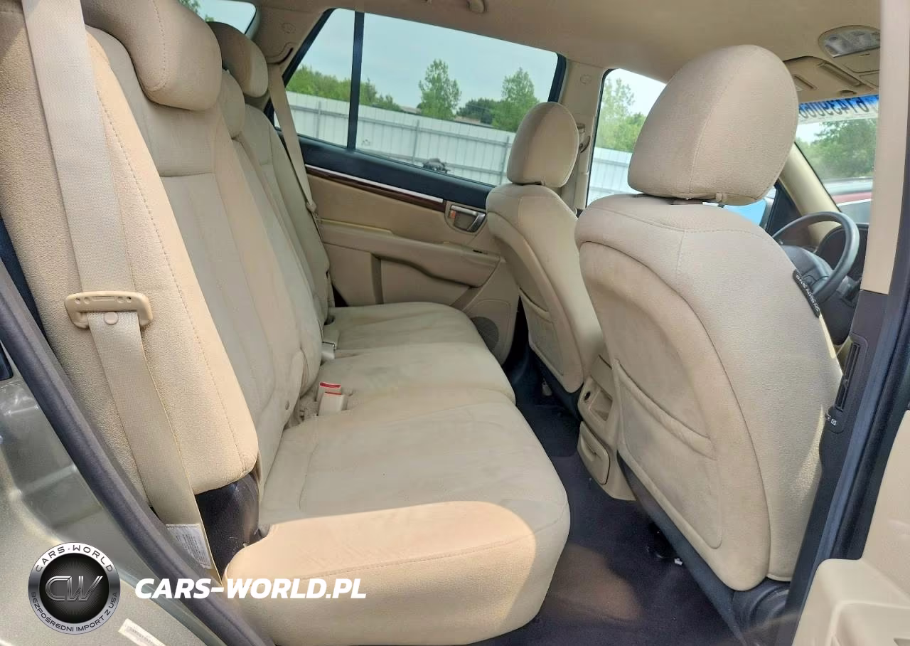 2008 Hyundai Santa Fe Gls VIN:5NMSG13D38H175055 - 11