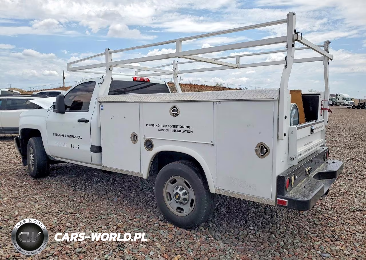 2017 Chevrolet Silverado VIN:1GB0CUEG7HZ243319 - 2