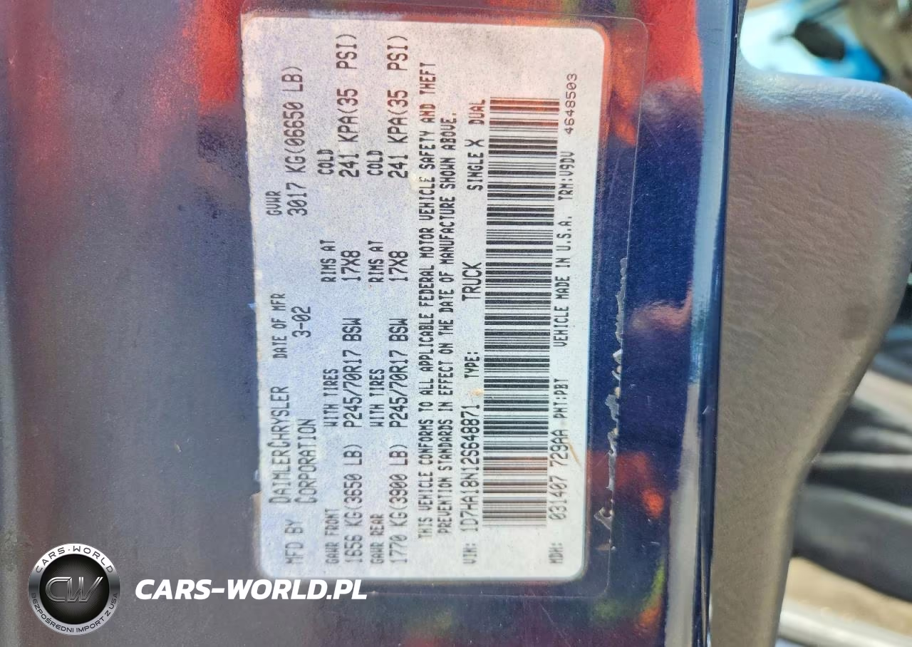 2002 Dodge Ram 1500 VIN:1D7HA18N12S648871 - 12