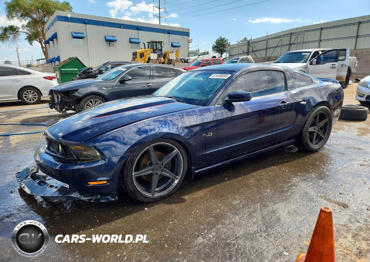 2010 Ford Mustang Gt VIN:1ZVBP8CH6A5138177 - 1