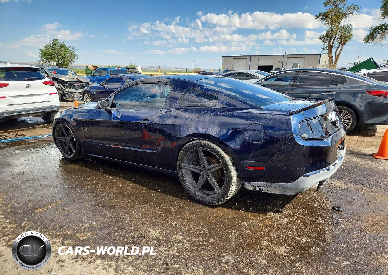 2010 Ford Mustang Gt VIN:1ZVBP8CH6A5138177 - 2