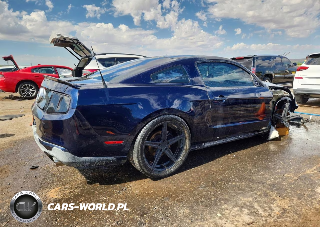 2010 Ford Mustang Gt VIN:1ZVBP8CH6A5138177 - 3