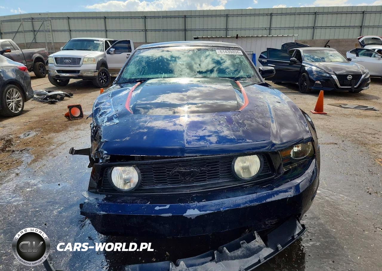 2010 Ford Mustang Gt VIN:1ZVBP8CH6A5138177 - 5