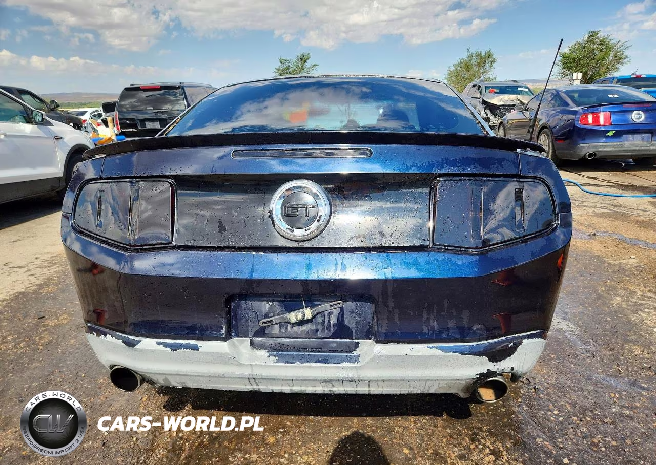 2010 Ford Mustang Gt VIN:1ZVBP8CH6A5138177 - 6