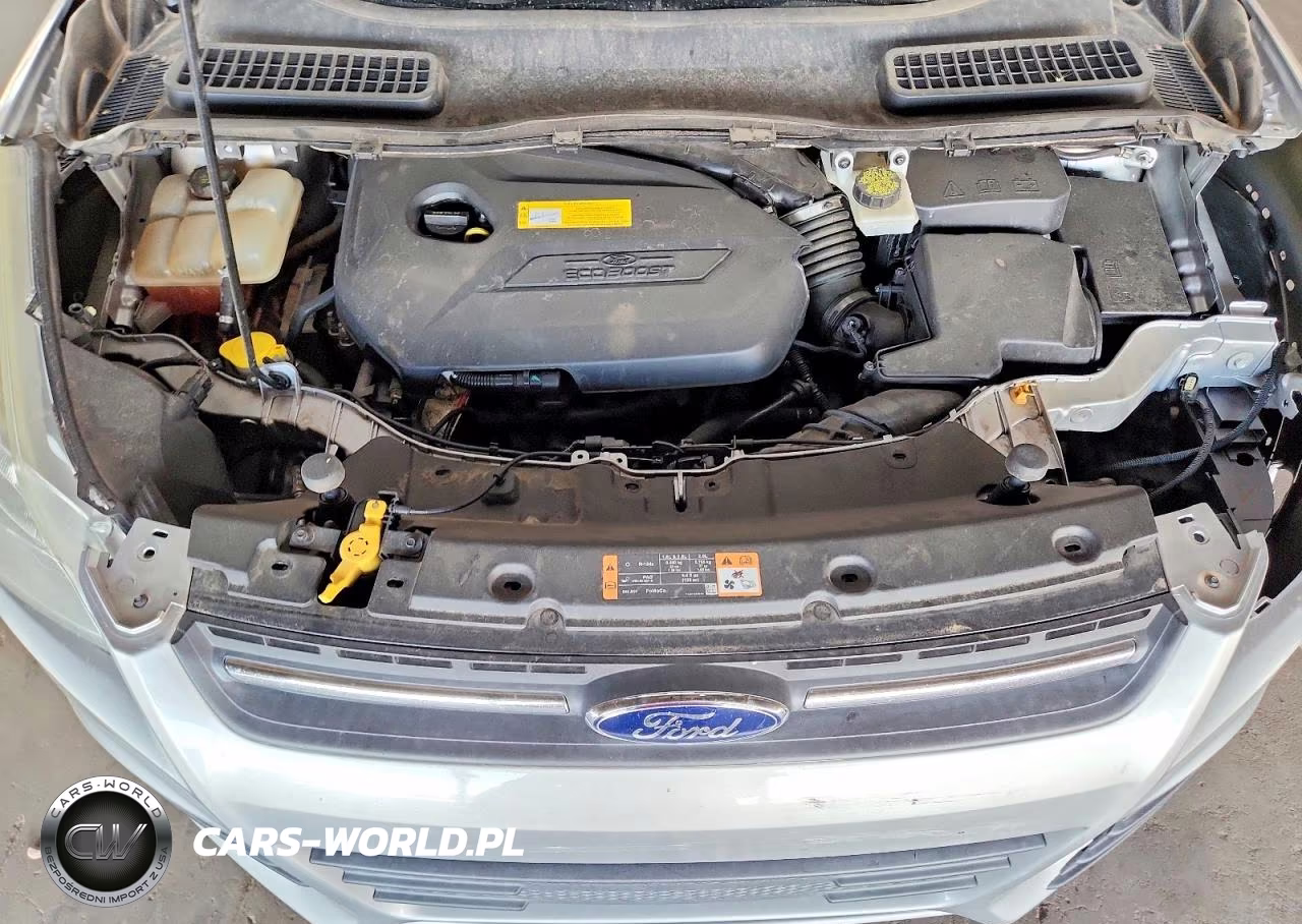 2016 Ford Escape Se VIN:1FMCU0GX8GUC60102 - 12
