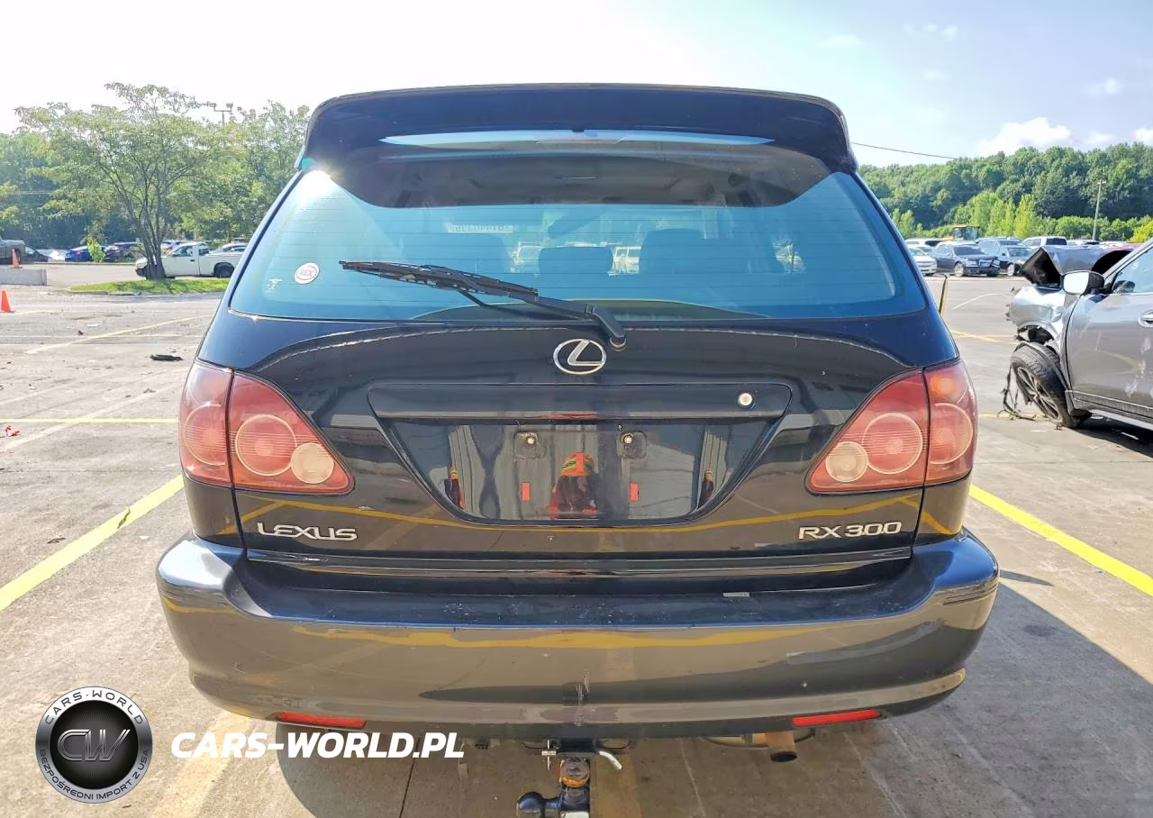 2000 Lexus Rx 300 VIN:JT6HF10U5Y0101757 - 6