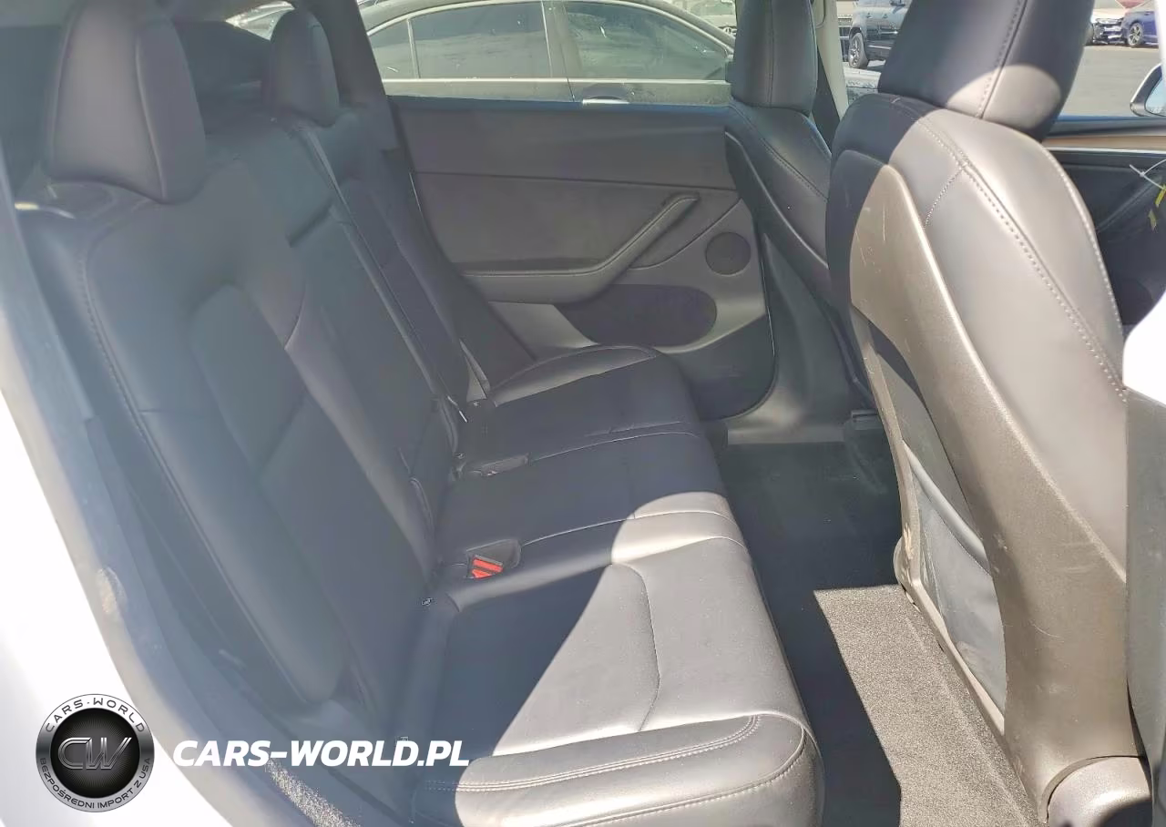 2024 Tesla Model Y VIN:7SAYGDEF6RF128103 - 10