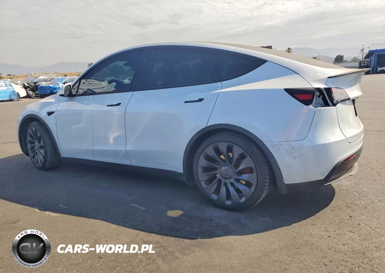 2024 Tesla Model Y VIN:7SAYGDEF6RF128103 - 2