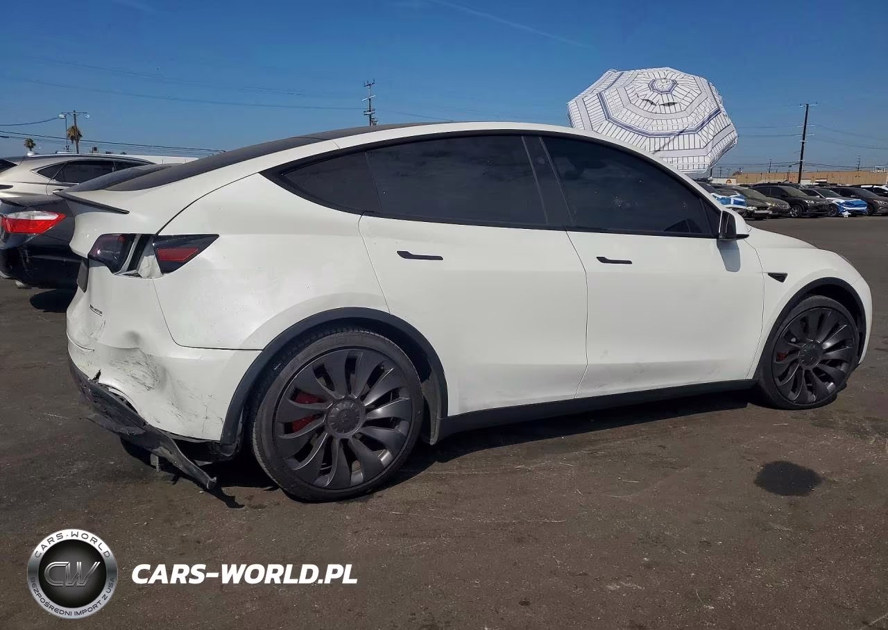 2024 Tesla Model Y VIN:7SAYGDEF6RF128103 - 3