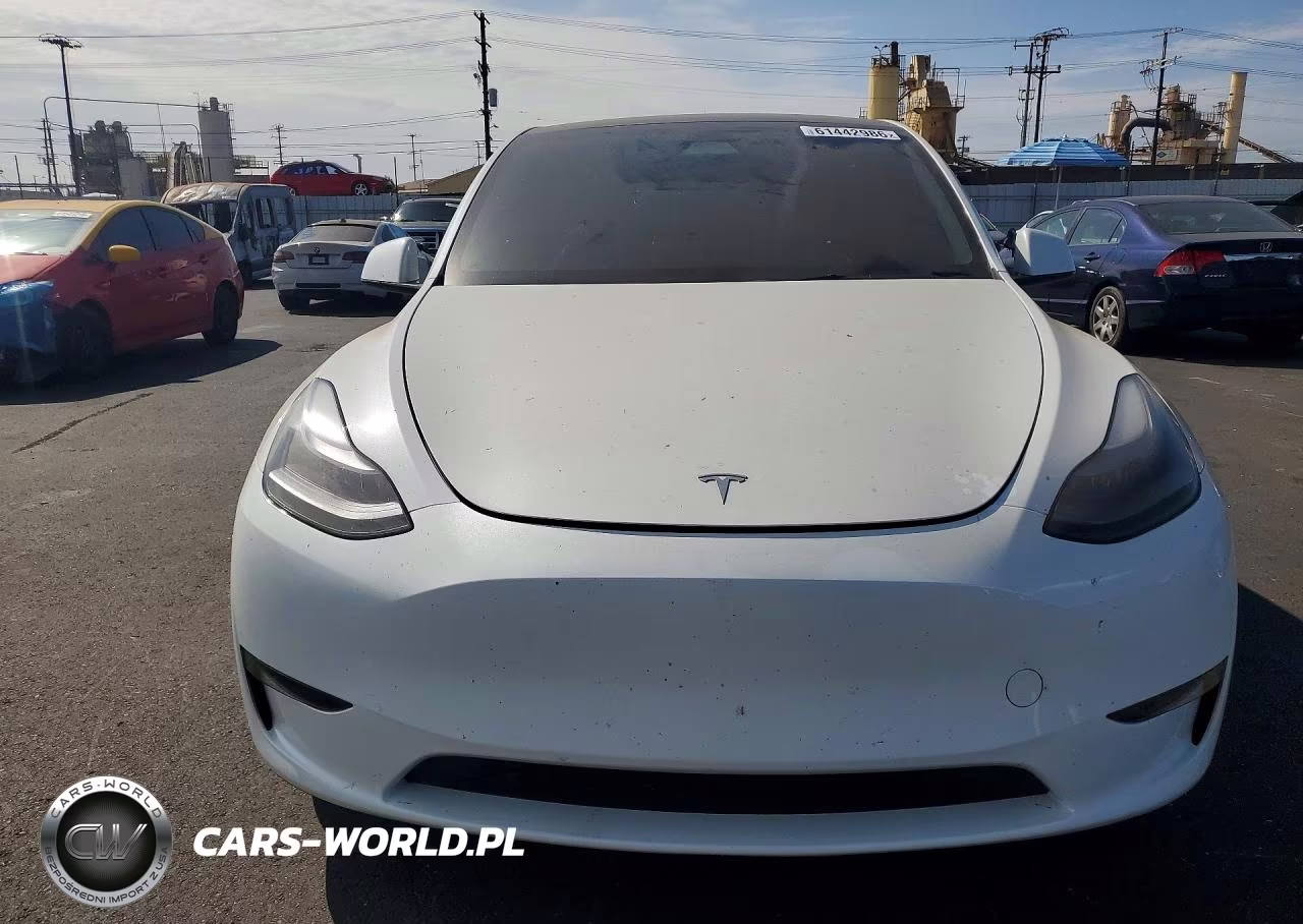 2024 Tesla Model Y VIN:7SAYGDEF6RF128103 - 5