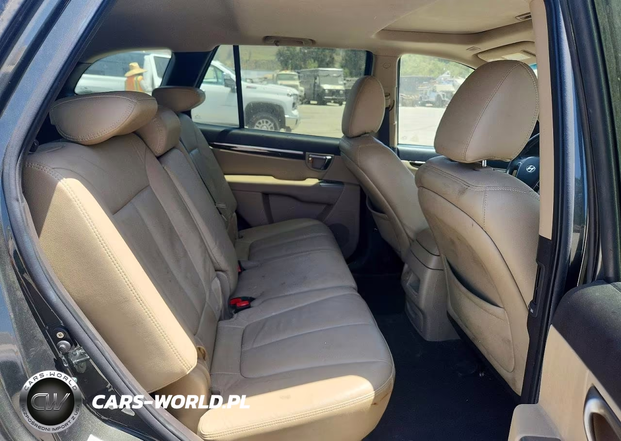 2010 Hyundai Santa Fe Limited VIN:5NMSKDAG6AH387550 - 11