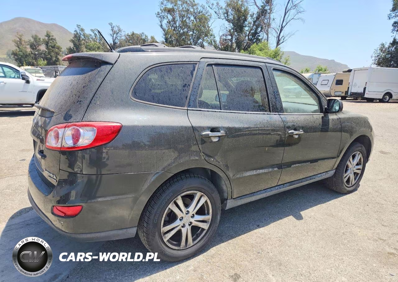 2010 Hyundai Santa Fe Limited VIN:5NMSKDAG6AH387550 - 3