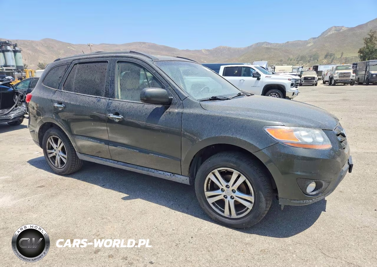 2010 Hyundai Santa Fe Limited VIN:5NMSKDAG6AH387550 - 4