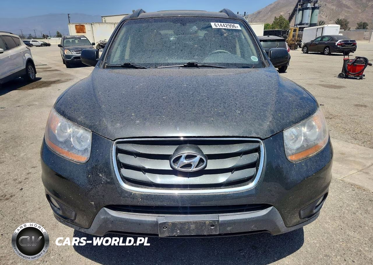 2010 Hyundai Santa Fe Limited VIN:5NMSKDAG6AH387550 - 5