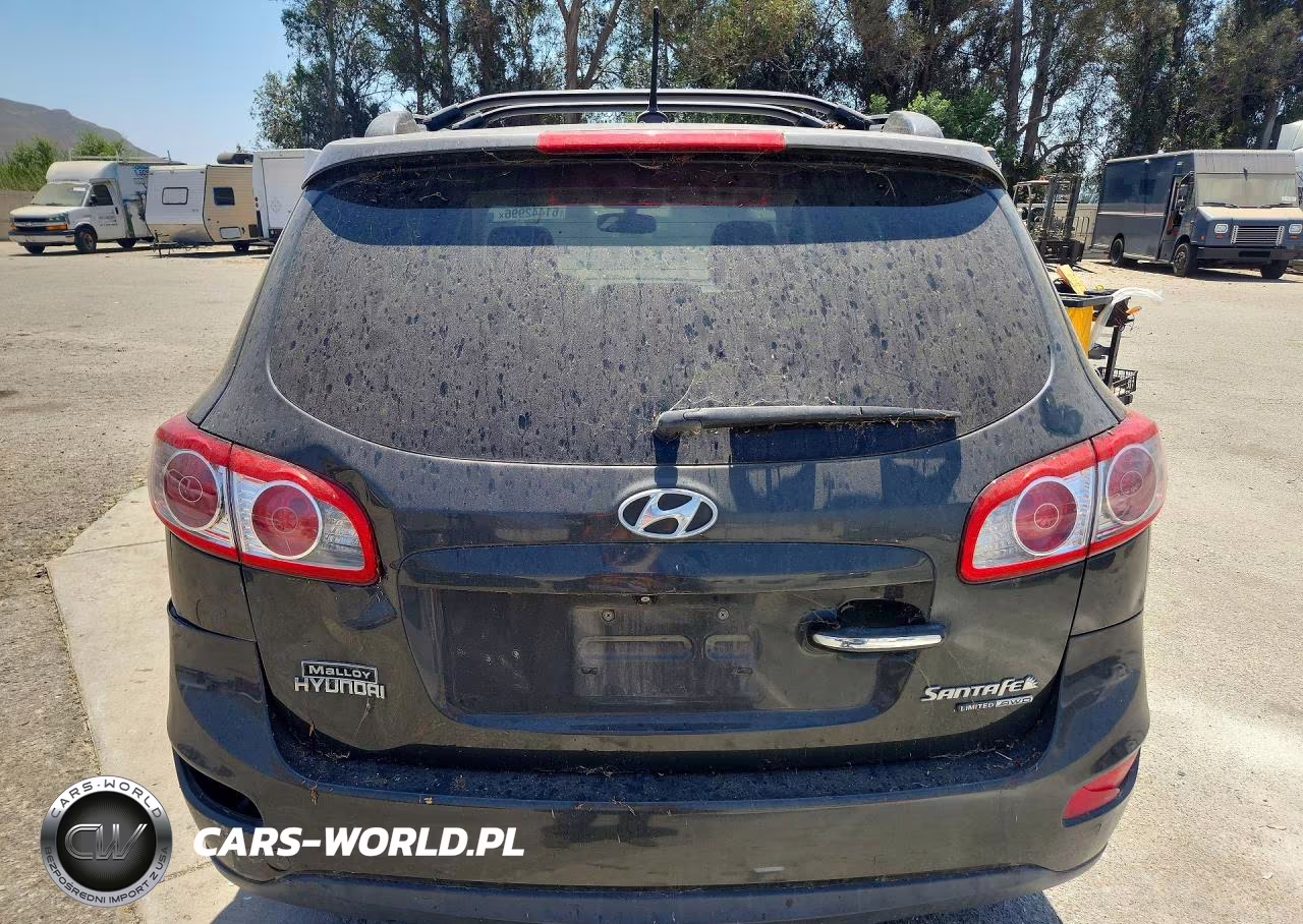 2010 Hyundai Santa Fe Limited VIN:5NMSKDAG6AH387550 - 6