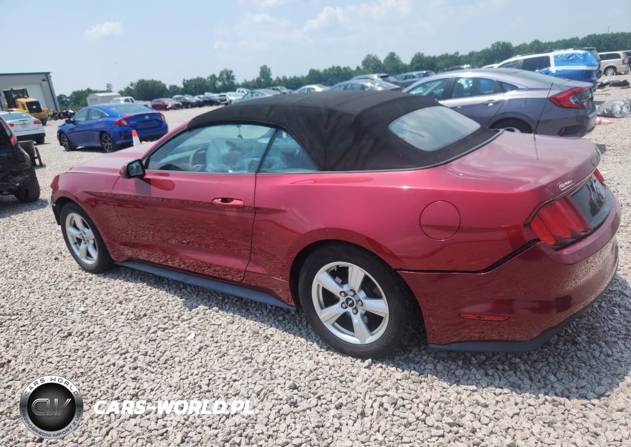 2017 Ford Mustang VIN:1FATP8EM4H5305587 - 2
