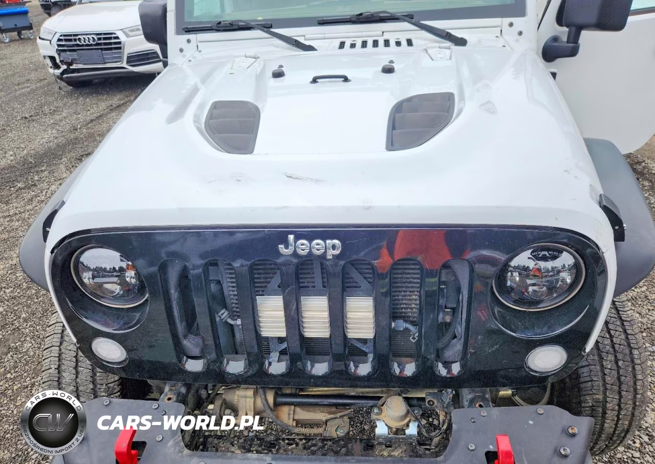 2016 Jeep Wrangler Rubicon VIN:1C4BJWCG3GL128338 - 11