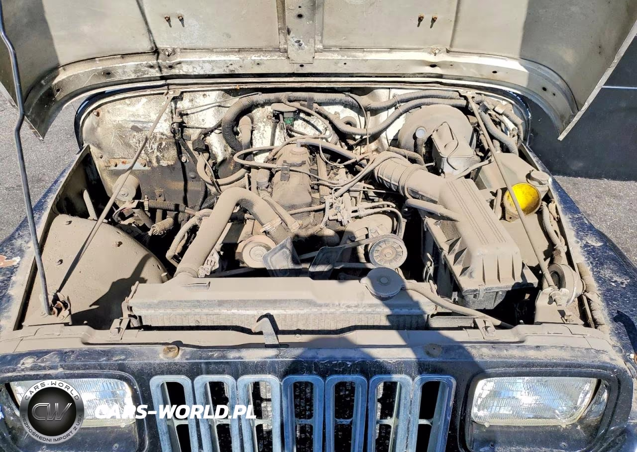 1994 Jeep Wrangler - Yj S VIN:1J4FY19P3RP421489 - 11