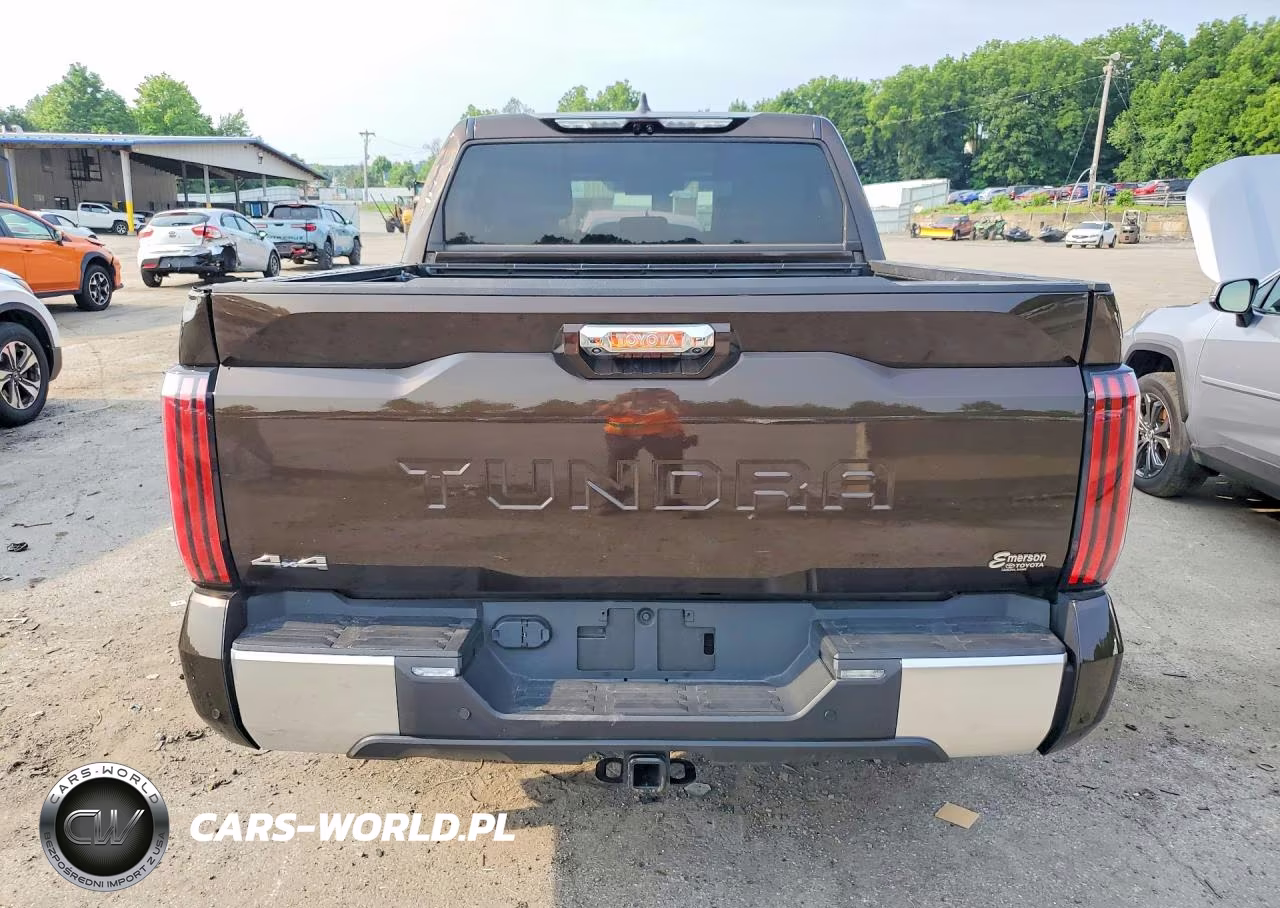 2025 Toyota Tundra Crewmax Limited VIN:5TFJA5DB0SX268082 - 6