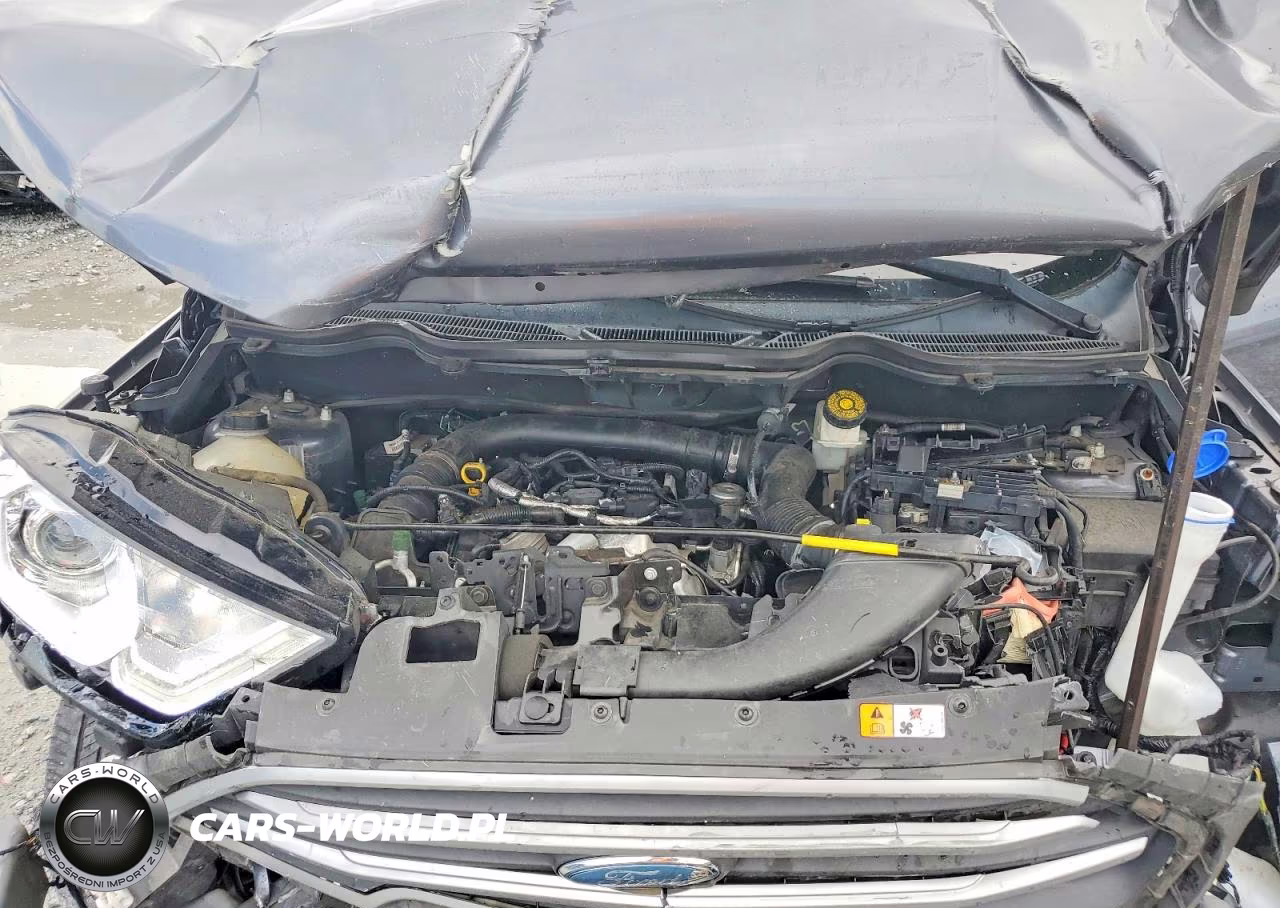 2018 Ford Ecosport Se VIN:MAJ3P1TE7JC200594 - 12