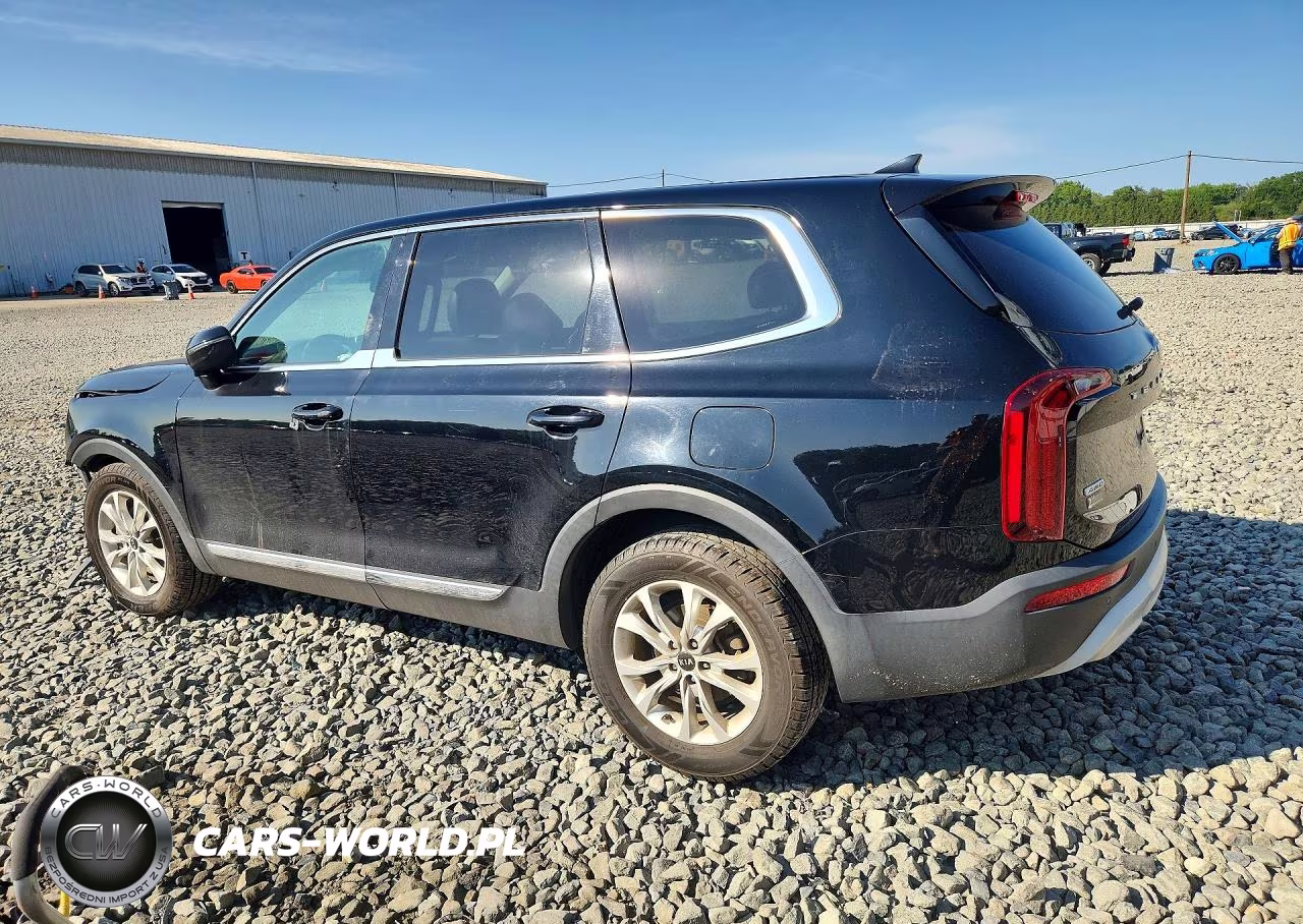 2020 Kia Telluride Lx VIN:5XYP2DHCXLG022861 - 2